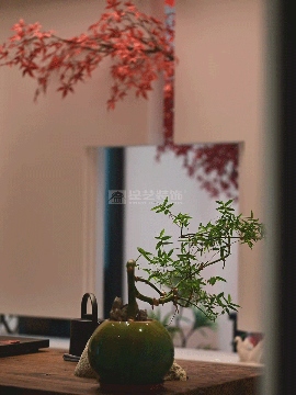 星艺·园(图6)