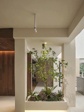 森屿(图1)