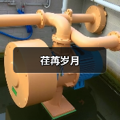 荏苒岁月（图3）
