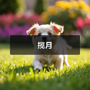 揽月（图3）