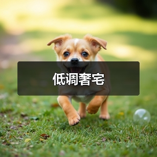 低调奢宅(图2) 低调奢宅(图2)