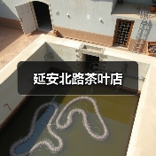 延安北路茶叶店（图2）