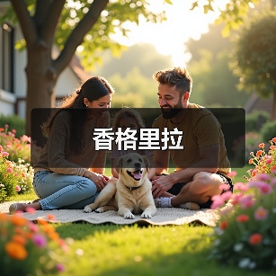 香格里拉（图3）