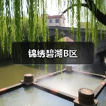 中古风邂逅亮色软装，打破风格边界美学