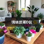 锦绣碧湖D区（图2）
