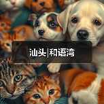 自然与精工交融的都市空间美学