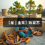 【星 | 全案】陈夏苏（图3）