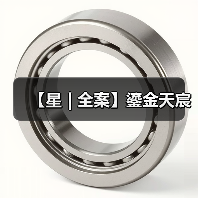 【星 | 全案】鎏金天宸（图2）
