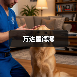 宋式美学：极简设计中的自然与匠心融合