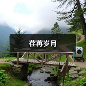 荏苒岁月（图4）