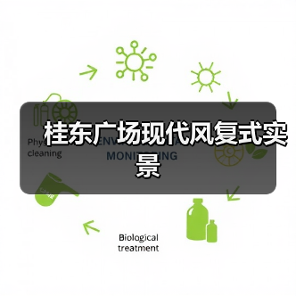 桂东广场现代风复式实景(图4) 桂东广场现代风复式实景(图4)