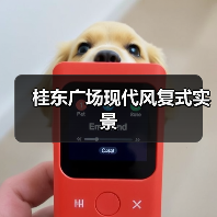 双层户型设计解析：悬浮床与隐形门打造现代私密空间