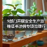 9部门开展安全生产资格证书涉假专项治理行动（图2）
