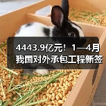 4443.9亿元!1—4月我国对外承包工程新签合同额同比增长9.3%(图2) 4443.9亿元!1—4月我国对外承包工程新签合同额同比增长9.3%(图2)