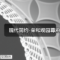 现代简约-荣和观园尊府（图3）