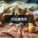 万达星海湾（图4）
