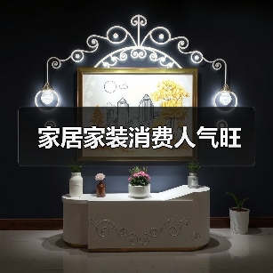 家居家装消费人气旺(图3) 家居家装消费人气旺(图3)