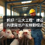 抓好“三大工程”建设 构建房地产发展新模式(图4) 抓好“三大工程”建设 构建房地产发展新模式(图4)