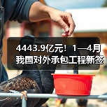 4443.9亿元!1—4月我国对外承包工程新签合同额同比增长9.3%(图4) 4443.9亿元!1—4月我国对外承包工程新签合同额同比增长9.3%(图4)