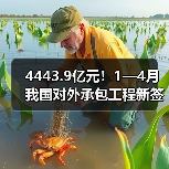 4443.9亿元!1—4月我国对外承包工程新签合同额同比增长9.3%(图3) 4443.9亿元!1—4月我国对外承包工程新签合同额同比增长9.3%(图3)