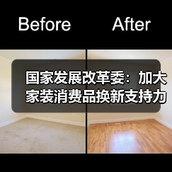 国家发展改革委：加大家装消费品换新支持力度（图4）