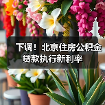 下调!北京住房公积金贷款执行新利率(图3) 下调!北京住房公积金贷款执行新利率(图3)