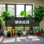 锦绣碧湖
