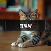 自建房（图3）