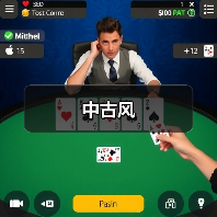 温雅时光感中古风设计，经典元素打造宁静空间