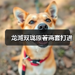 龙湖双珑原著两套打通（图3）