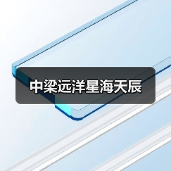 中梁远洋星海天辰（图3）