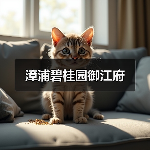 漳浦碧桂园御江府（图2）