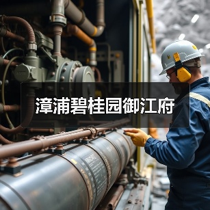 漳浦碧桂园御江府（图4）