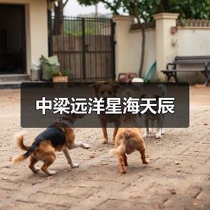中梁远洋星海天辰（图4）