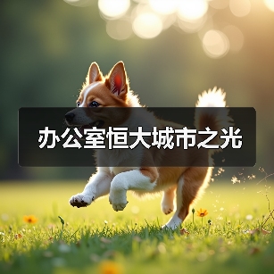 办公室恒大城市之光