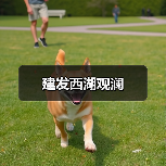 建发西湖观澜（图4）
