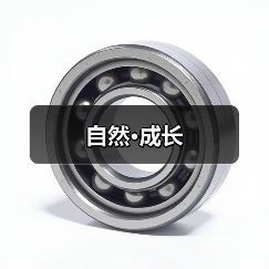 自然与成长交织的温馨空间设计