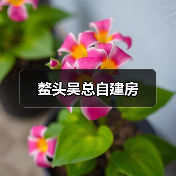 现代设计革新传统自建房，打造别样乡村生活空间