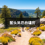 鳌头吴总自建房（图2）