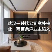 武汉一装修公司意外停业,两百余户业主陷入装修困局,超千万未完工款项何去何从?(图4) 武汉一装修公司意外停业,两百余户业主陷入装修困局,超千万未完工款项何去何从?(图4)