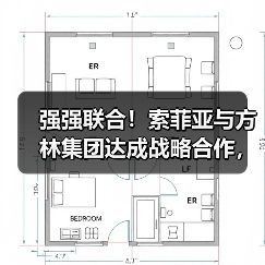 强强联合!索菲亚与方林集团达成战略合作,共绘家居装修新蓝图(图4) 强强联合!索菲亚与方林集团达成战略合作,共绘家居装修新蓝图(图4)