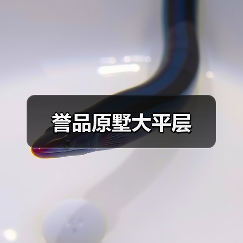 誉品原墅大平层（图2）