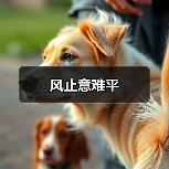 风止意难平（图4）