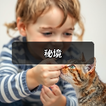 秘境（图2）