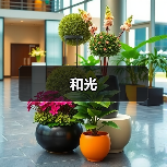 和光(图2) 和光(图2)
