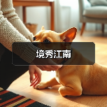境秀江南