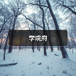 学院府（图3）