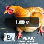 丰顺别墅（图3）