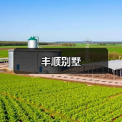 丰顺别墅（图4）
