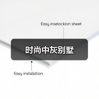 现代极简风格别墅设计：黑白灰色调与空间实用性结合